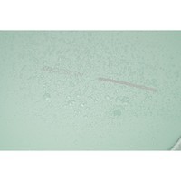 Рюкзак XD Design Bobby Edge Iceberg Green P706.2507